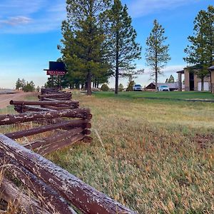 Bryce Canyon Pines